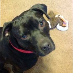 Meet your Posher, Vicky